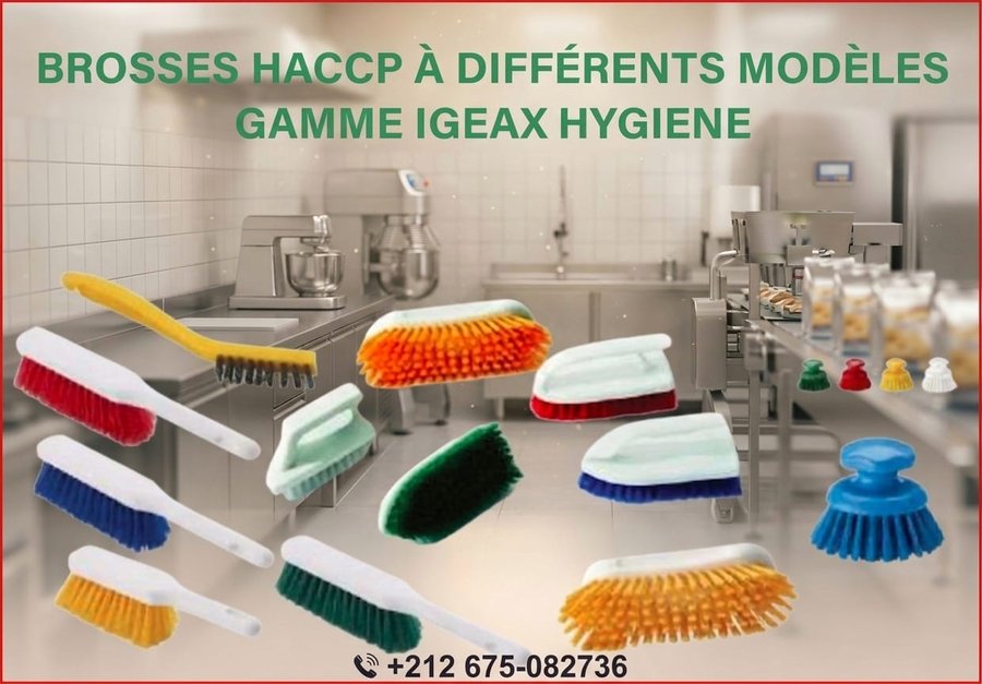 Brosses HACCP à différents modèles – gamme IGEAX Hygiène