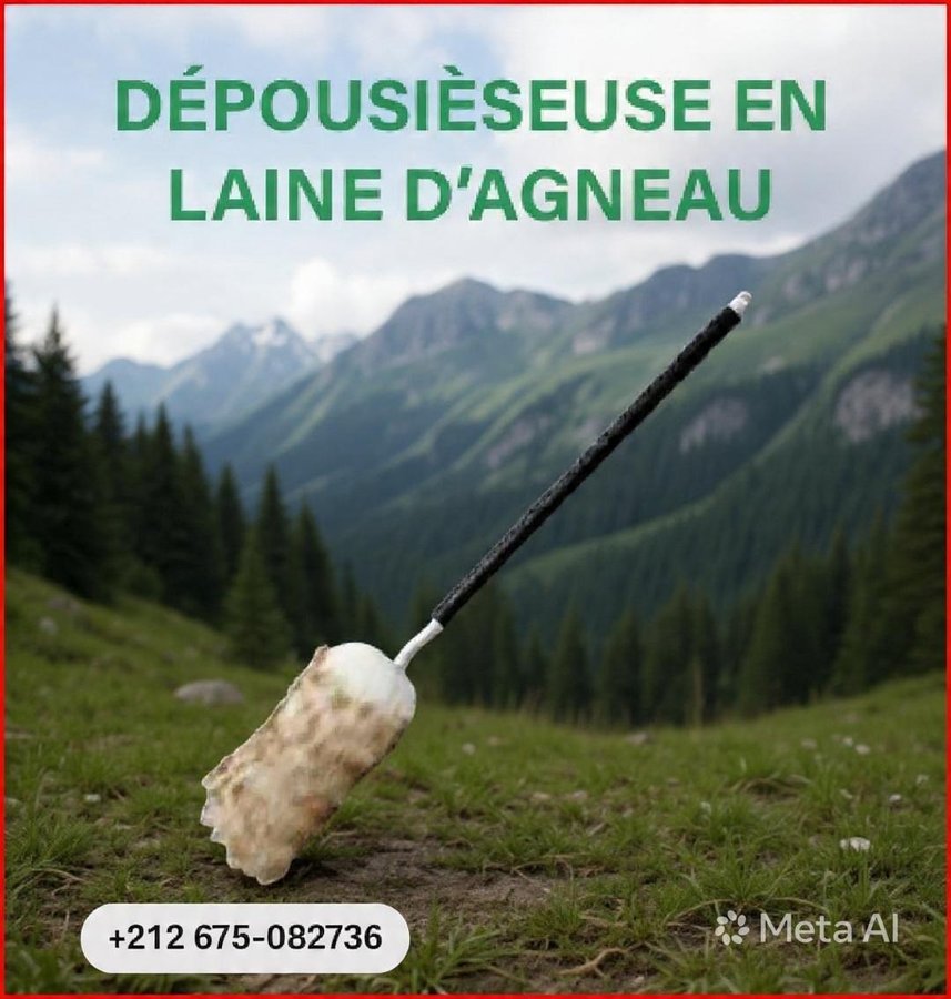 Dépoussiéreuse en laine d'agneau
