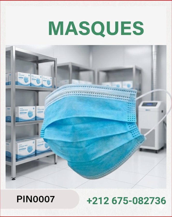 Masques de protection jetables (réf PIN0007)